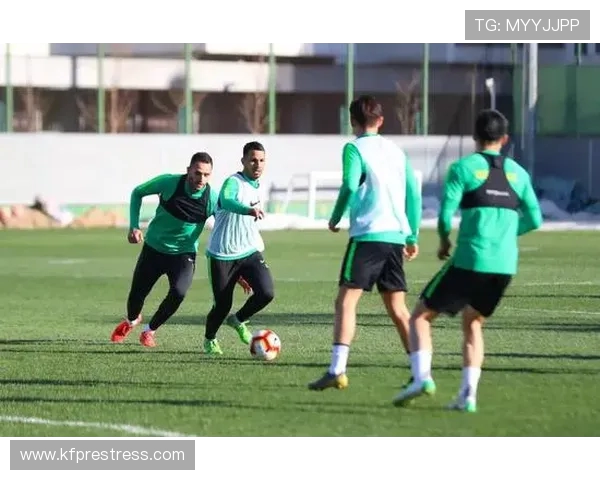 北京网球队状态分析：聚焦训练与比赛表现的深度探讨