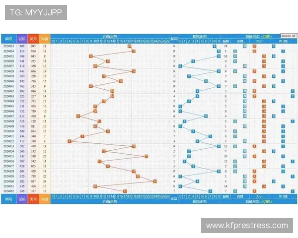 重庆排球队在联合会杯中的团队协作表现分析与点评