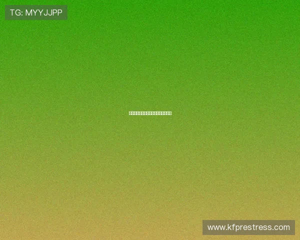 飞盘运动的崛起与黄娜的成功经验分享